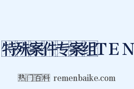 特殊案件专案组TEN是什么意思的图片